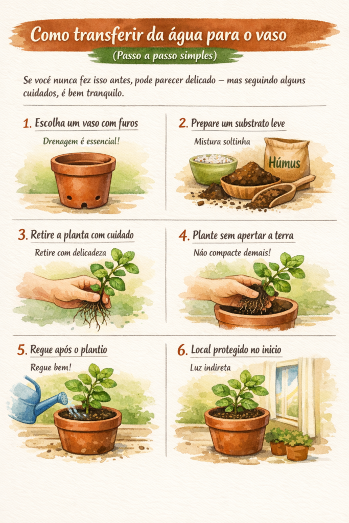 Infográfico em estilo aquarela ensinando como transferir uma planta da água para o vaso, com seis etapas ilustradas: escolher um vaso com furos para drenagem, preparar um substrato leve, retirar a planta com cuidado, plantar sem compactar a terra, regar após o plantio e manter em local com luz indireta nos primeiros dias. A imagem mostra cada passo com ilustrações de mãos, vaso, substrato e regador, em um ambiente claro e acolhedor.
